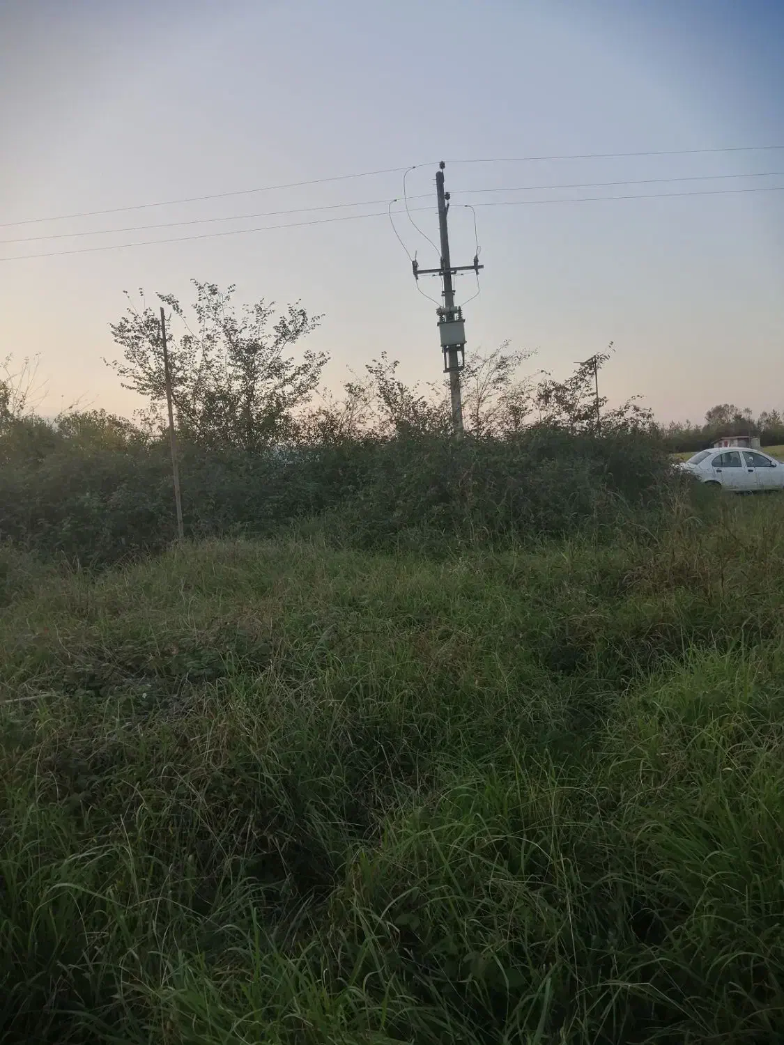 فروش دامداری صنعتی بامجوز وپروانه ساخت|فروش زمین و ملک کلنگی|املش, |دیوار