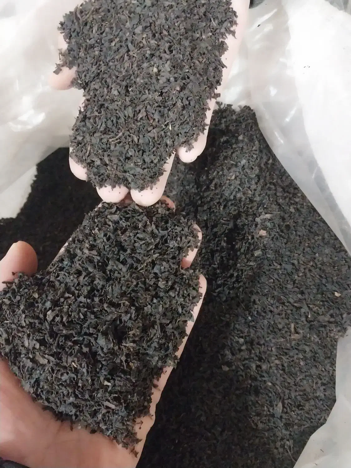 چای و زندگی|خوردنی و آشامیدنی|رشت, نامجو|دیوار