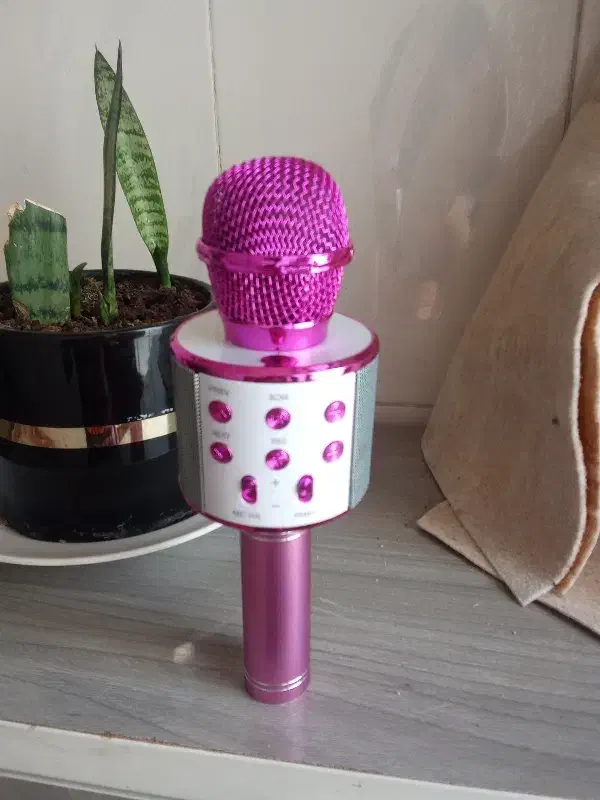 میکروفون|آلات موسیقی|ایلام, |دیوار