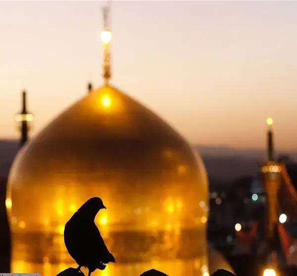 بلیت قطار و پرواز|بلیت اتوبوس، مترو، قطار|تهران, نیروی هوایی (پیروزی)|دیوار