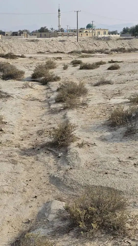 تصویر 2
