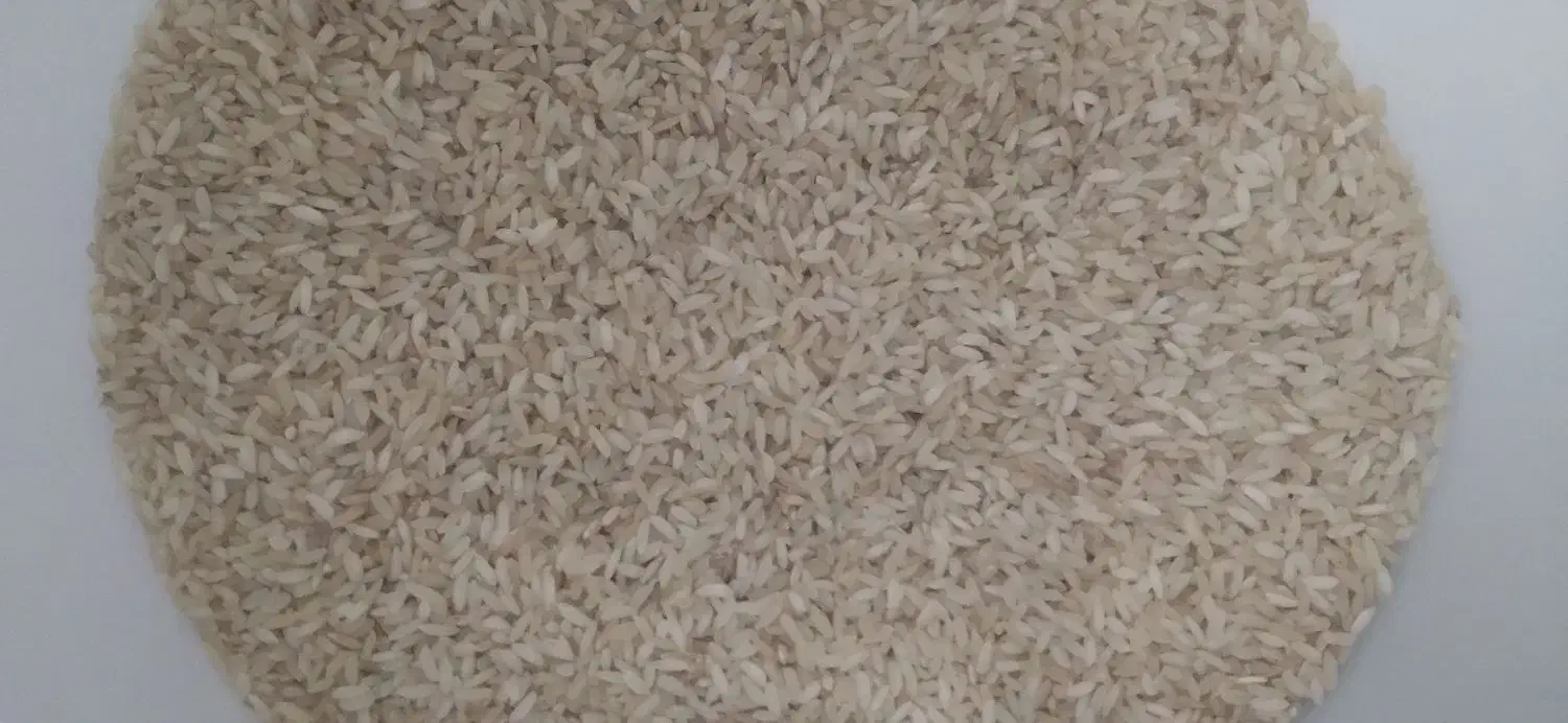 برنج محلی|خوردنی و آشامیدنی|دره شهر, |دیوار