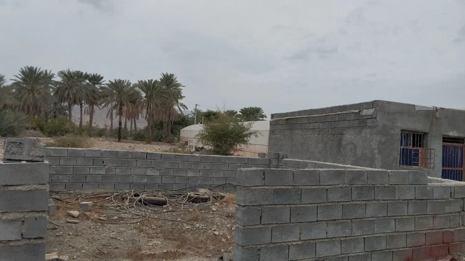 فروش زمین باغی|فروش زمین و ملک کلنگی|رودان, |دیوار