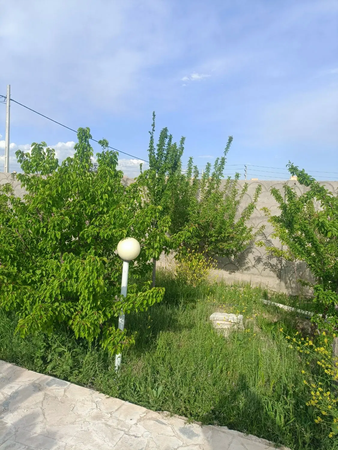 تصویر 14