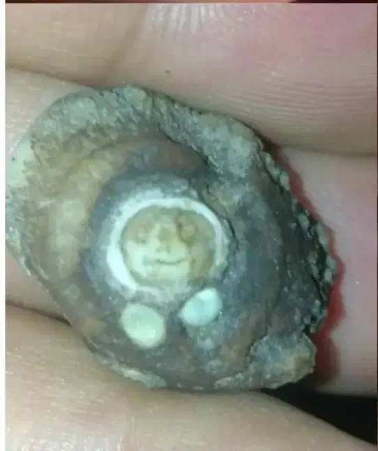 بابا قوری عتیقه اعجوبه|کلکسیون اشیاء عتیقه|قم, زند آباد|دیوار