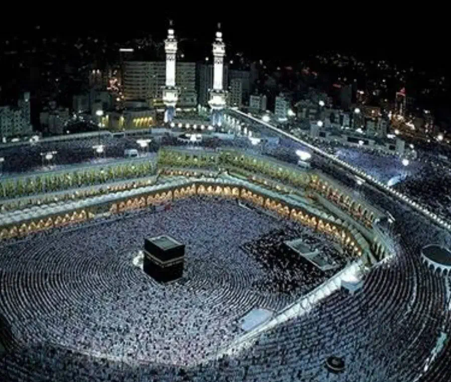 فروش حج واجب 86|تور و چارتر|محلات, |دیوار