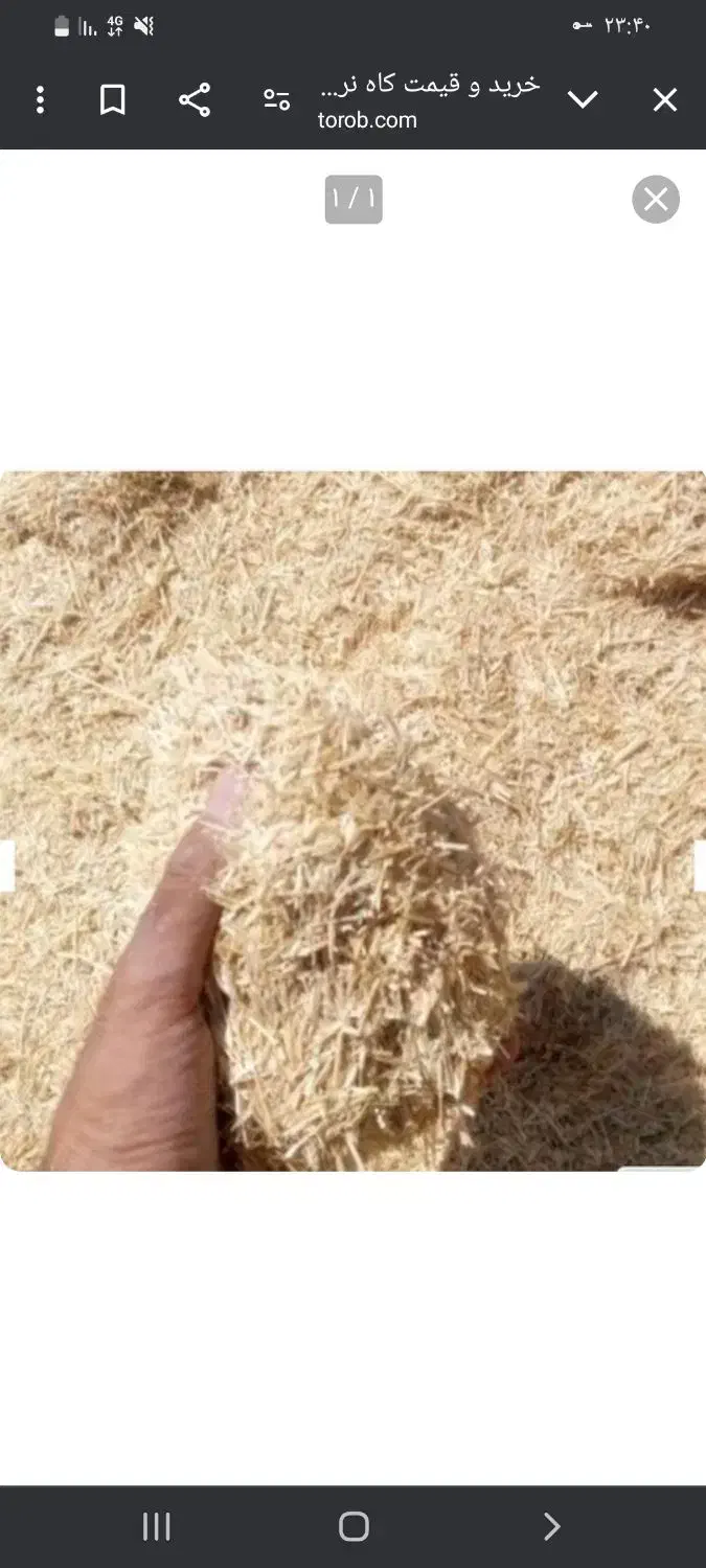 کاه فروشی|لوازم جانبی حیوانات|بیجار, |دیوار