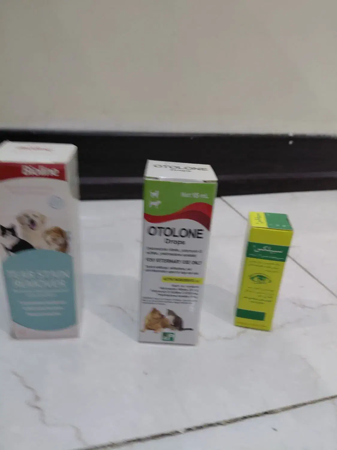 مهم ترین محصول پت|لوازم جانبی حیوانات|تهران, باشگاه نفت|دیوار