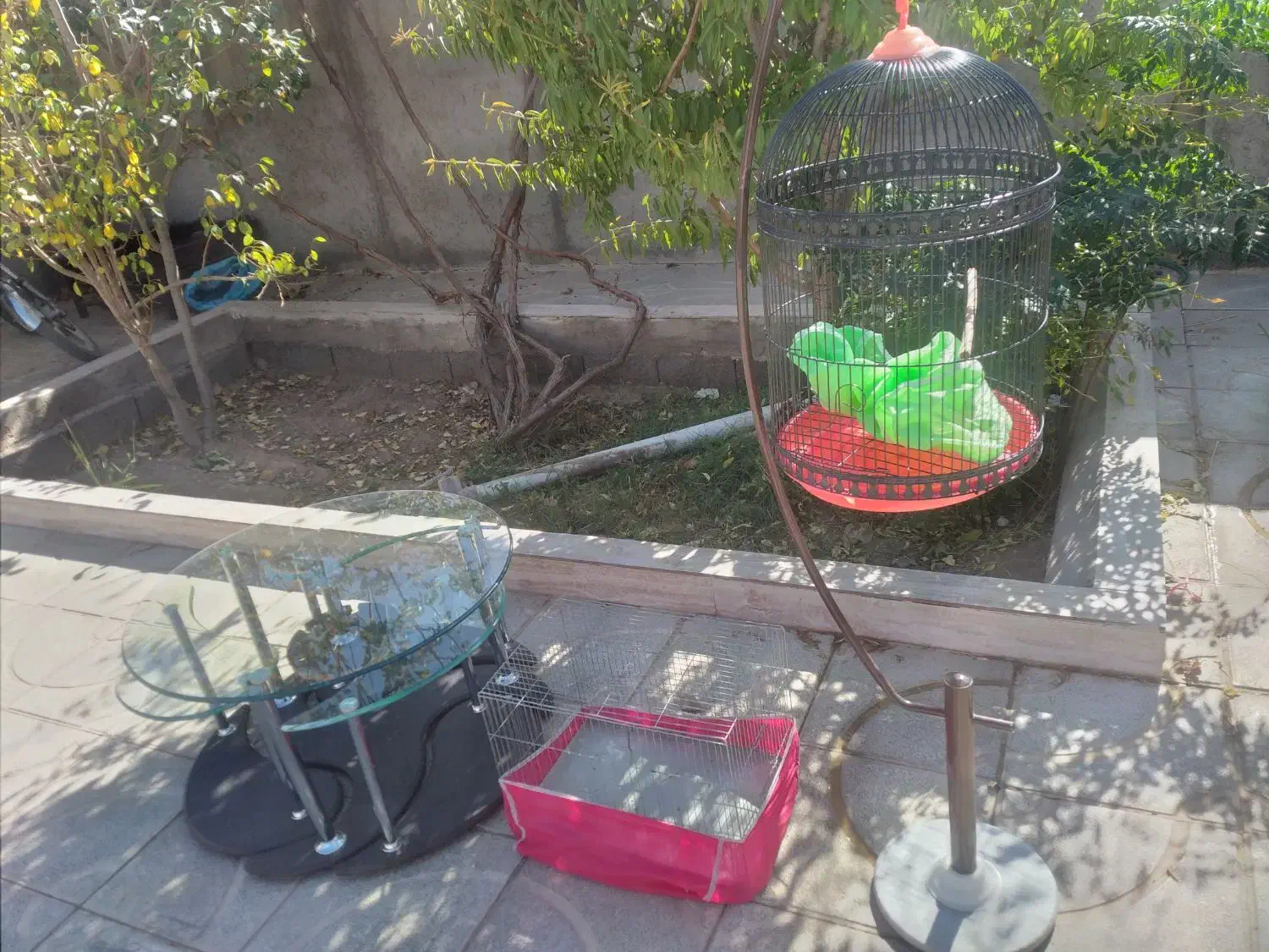 میز عسلی با قفس|مبلمان خانگی و میز عسلی|زرند, |دیوار