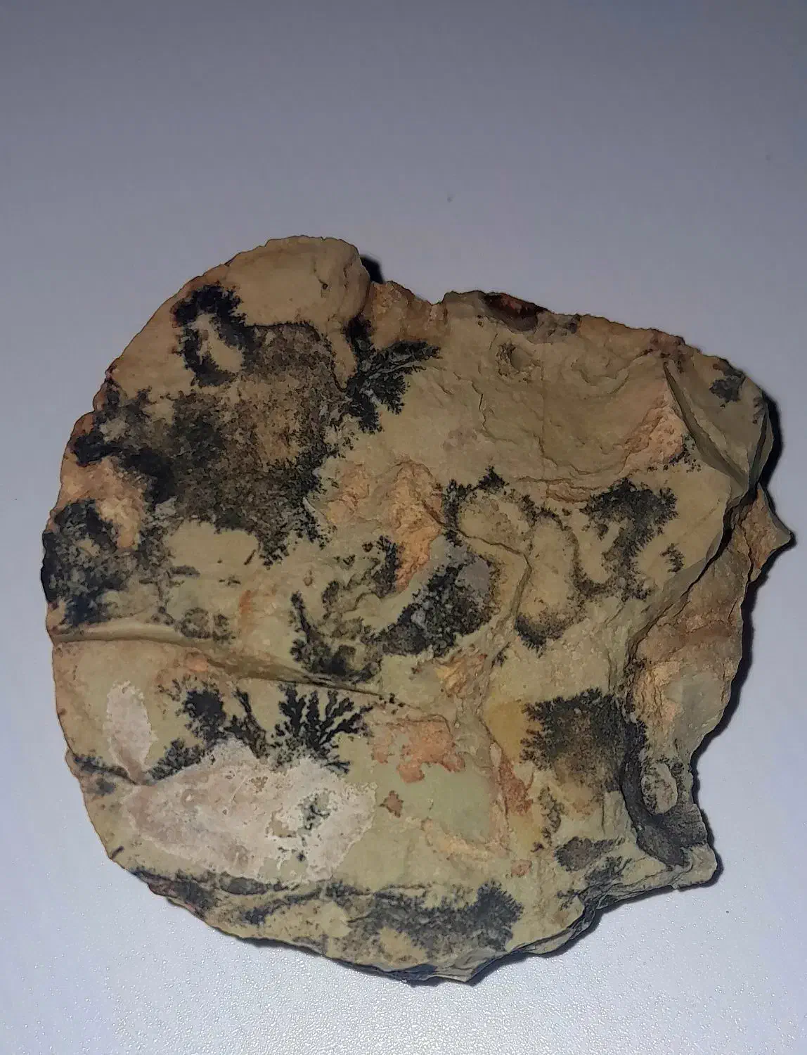 سنگ شجر|جواهرات|شیبکوه (فارس), |دیوار