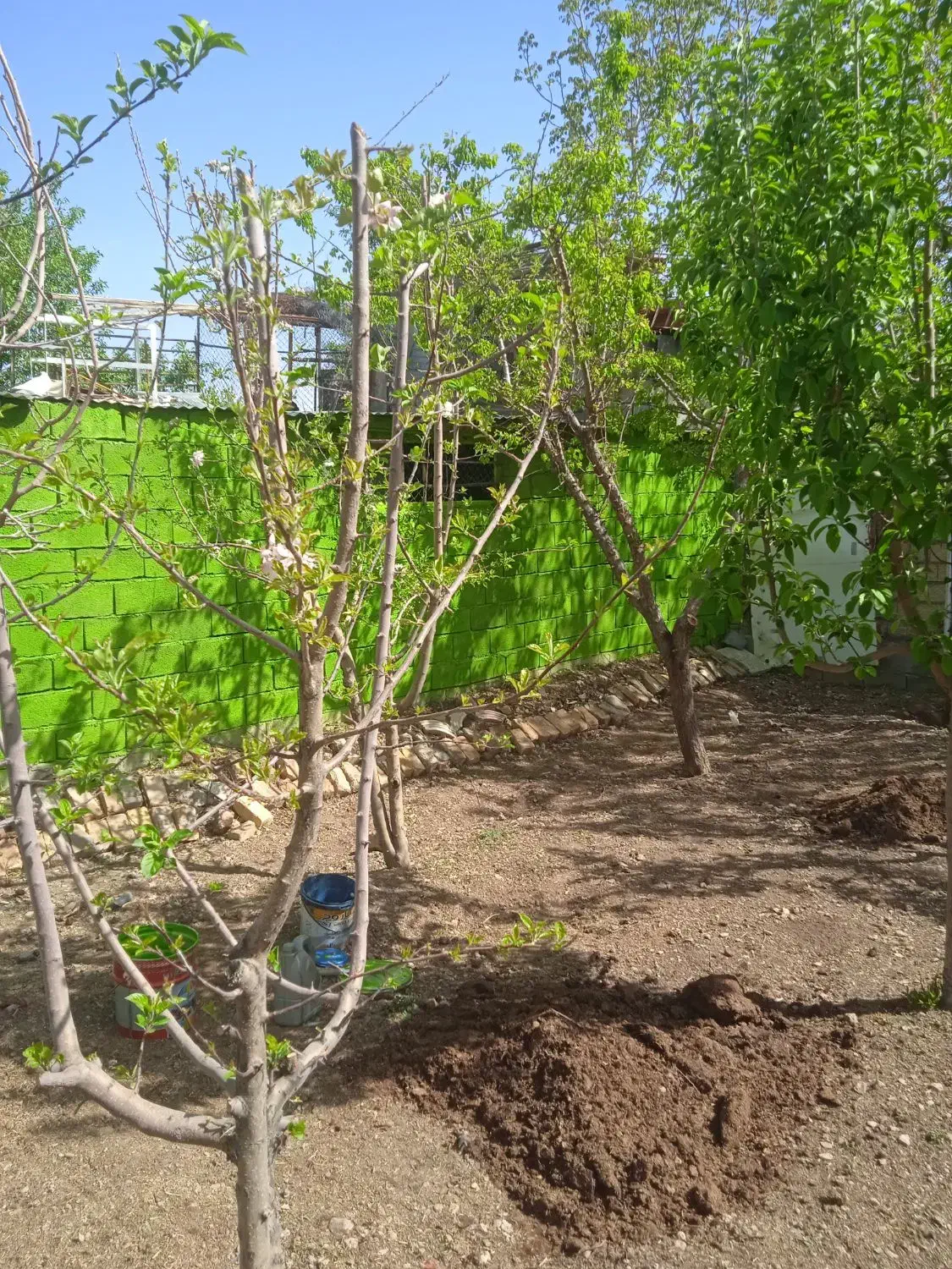 نقاشی ساختمان|خدمات پیشه و مهارت|گلپایگان, |دیوار