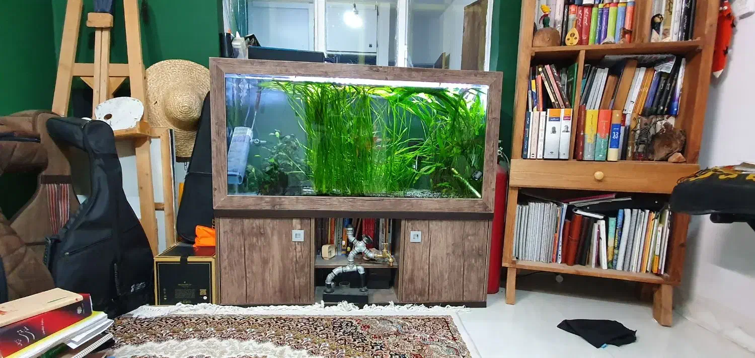اکواریوم پلنت با تمام متعلقات و کبسول co2|ماهی|شیراز, شهرک گلستان|دیوار