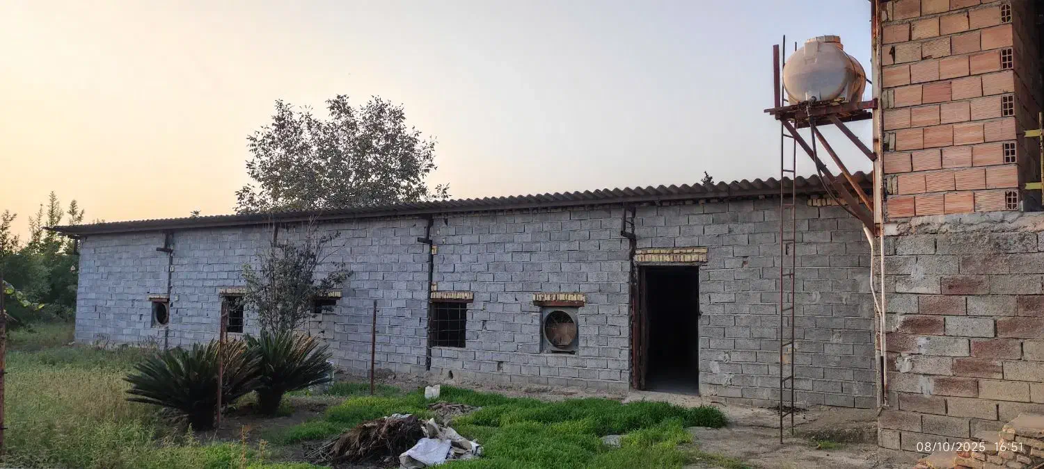 فروش دامداری (پرورش گوسفند)|فروش دفتر صنعتی، کشاورزی، تجاری|ساری, |دیوار