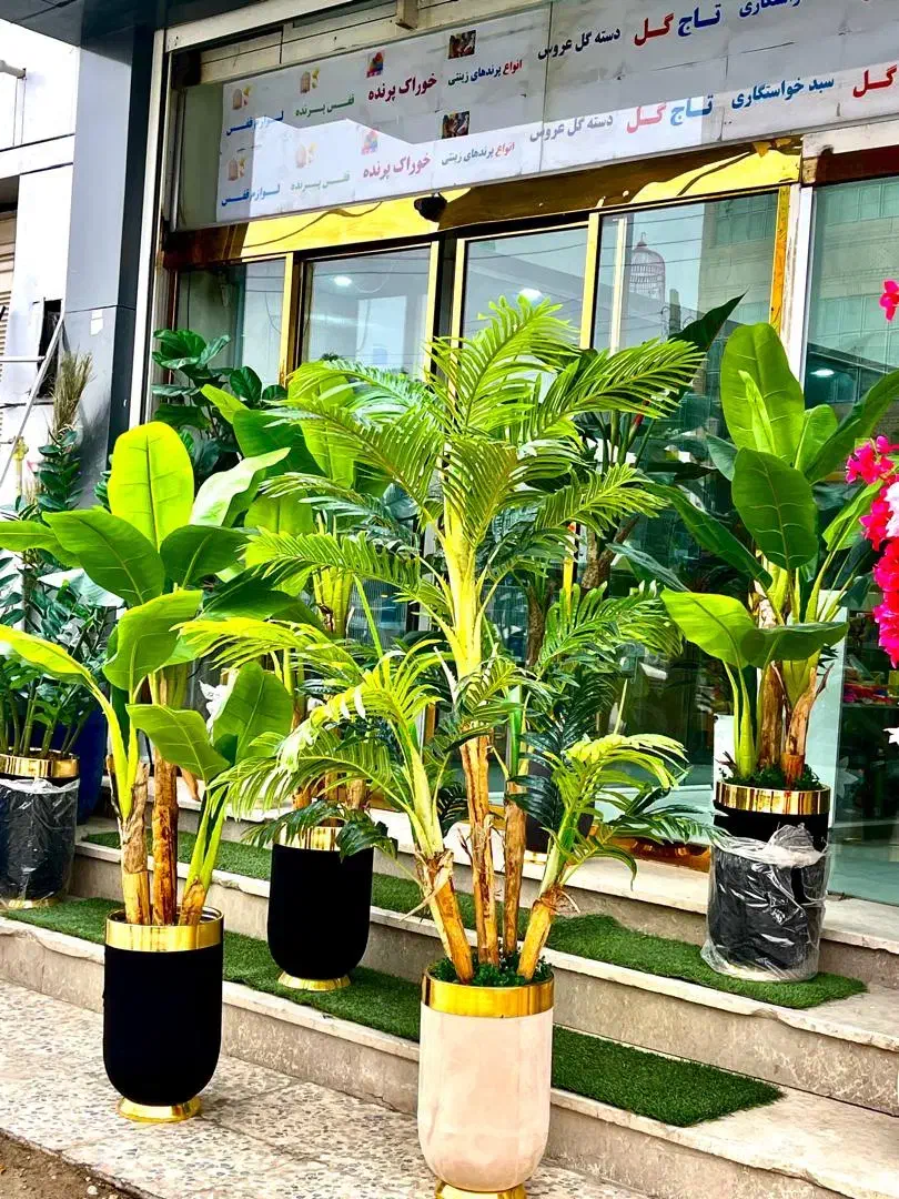 گل وگیاه|گل مصنوعی|زابل, |دیوار