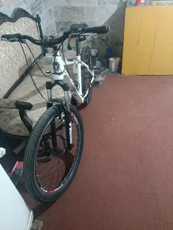 دوچرخه ویوا تنه آلومینیوم چرخ دنده بلبرنگی|دوچرخه، اسکیت، اسکوتر|کرمان, |دیوار