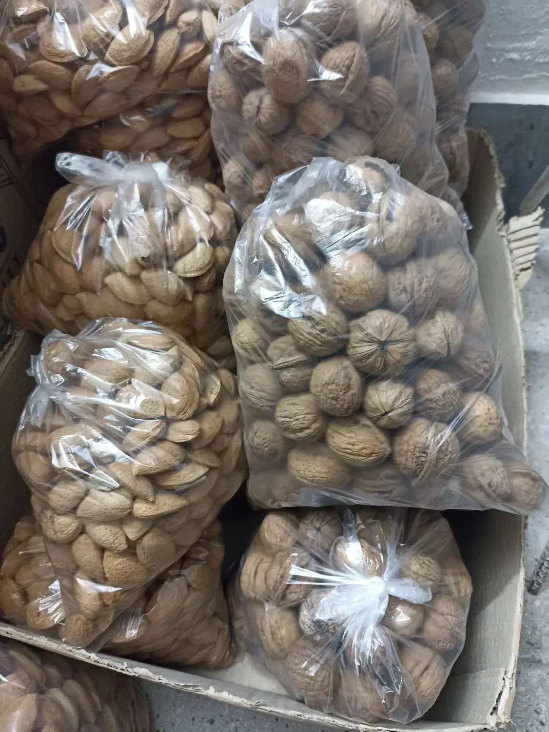 بادام و گردو،الوبخارا،سیر|خوردنی و آشامیدنی|شیراز, شهرک پردیس|دیوار