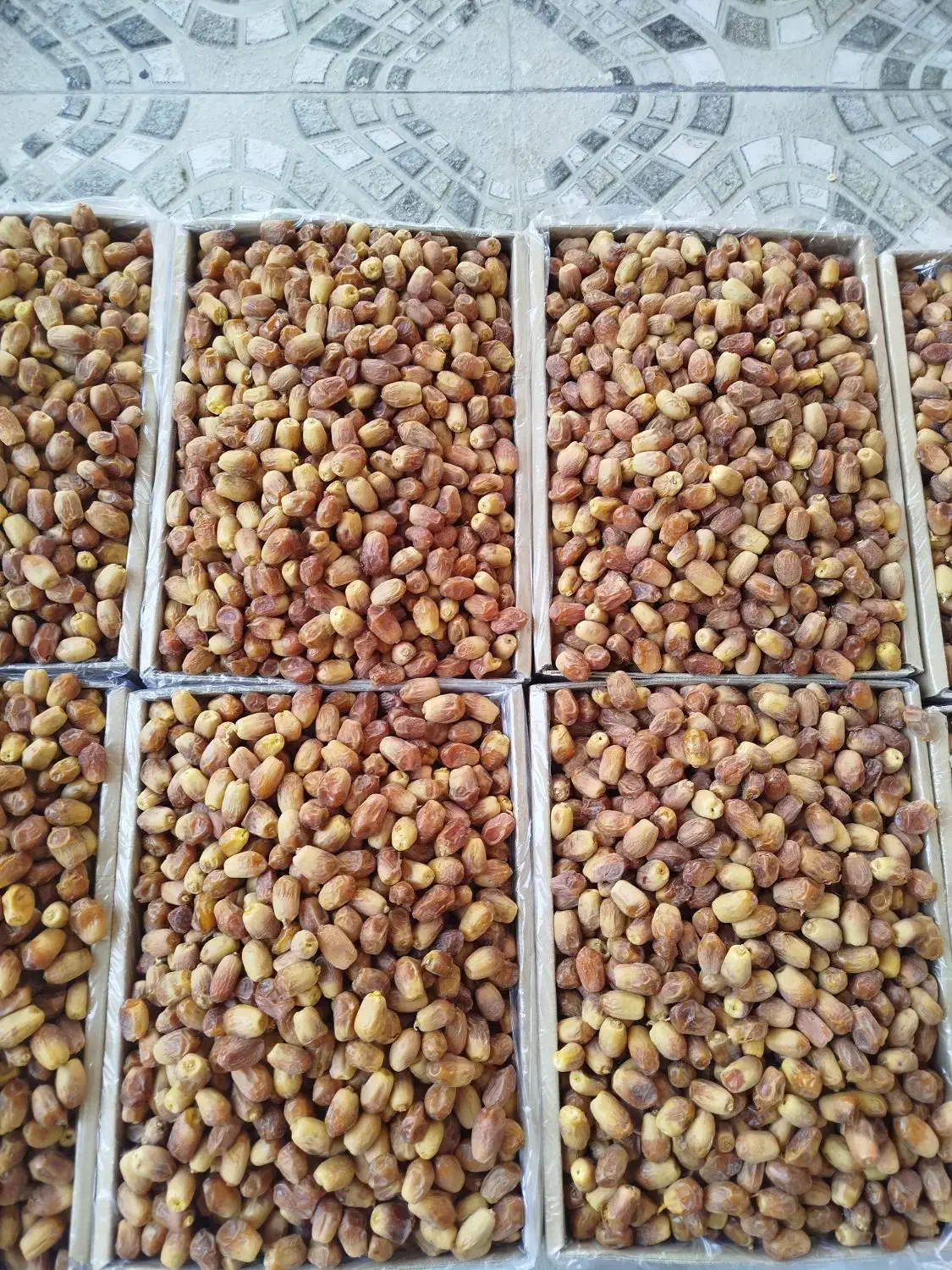 خرمای زاهدی(قصب)|خوردنی و آشامیدنی|قیروکارزین, |دیوار