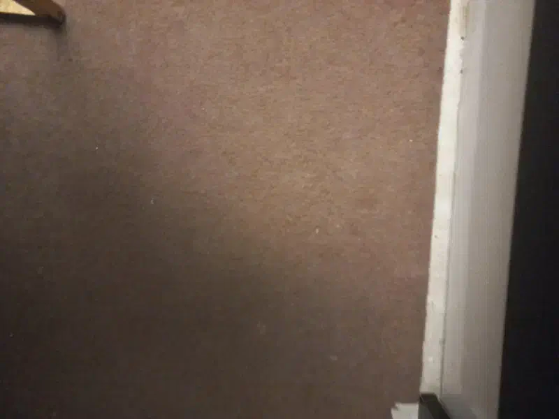 مقداری موکت زیر قیمت|موکت|پاکدشت, پاکدشت (مامازند)|دیوار