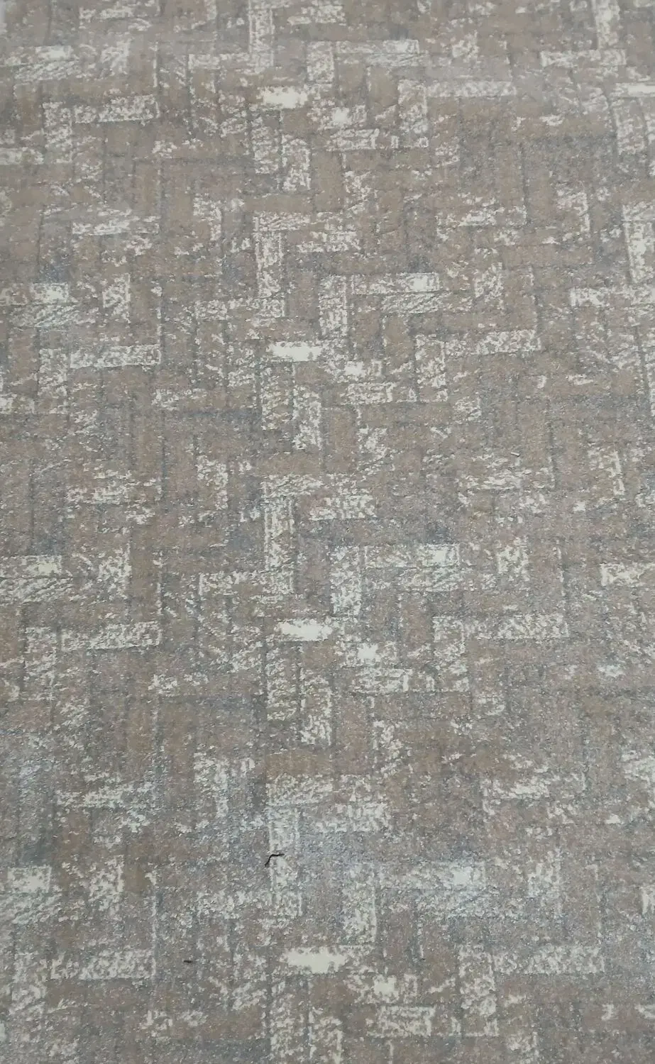 فرش ۳ متری|فرش|زنجان, |دیوار