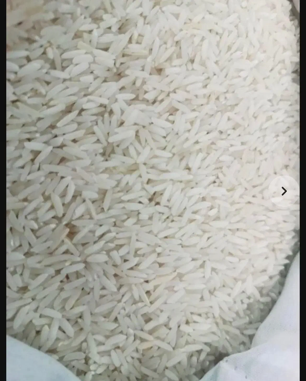 انواع برنج طارم فجر و گرگان|خوردنی و آشامیدنی|ری, علایین|دیوار