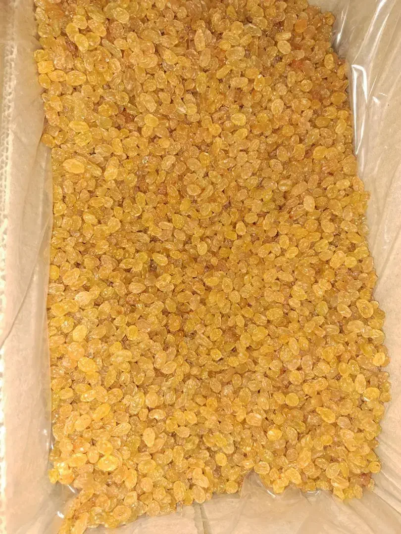 انواع کشمش بدون واسطه و تازه|خوردنی و آشامیدنی|تهران, کاج|دیوار