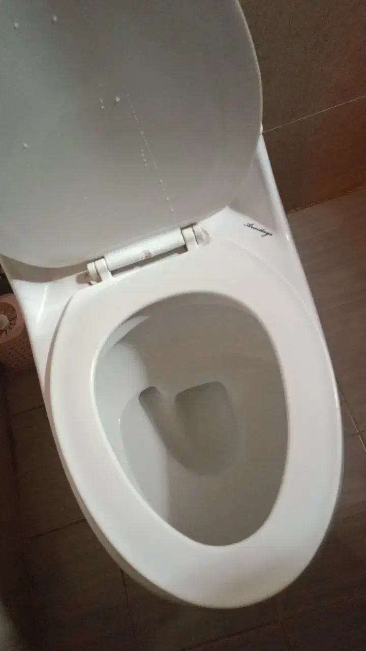 توالت فرنگی|لوازم سرویس بهداشتی|رویان, |دیوار