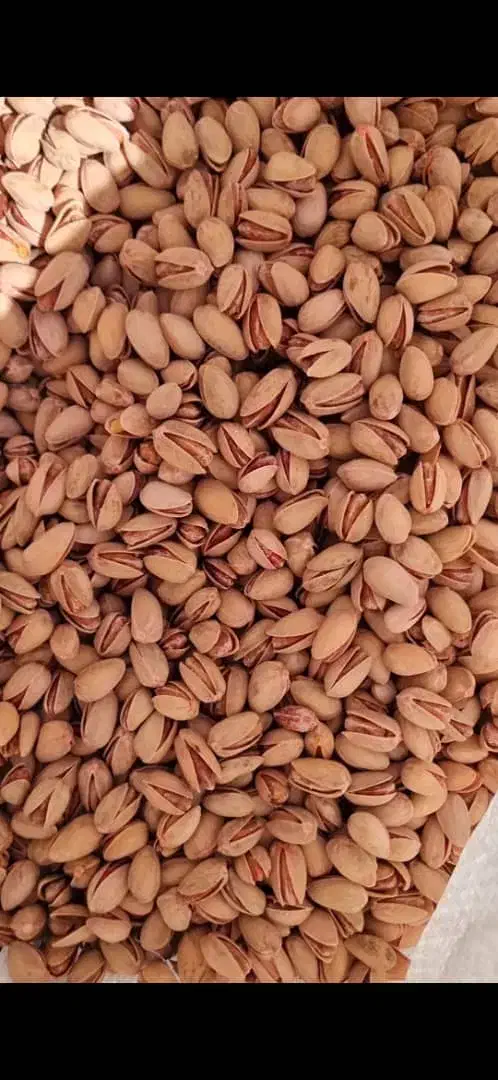 پسته|خوردنی و آشامیدنی|مه ولات, |دیوار