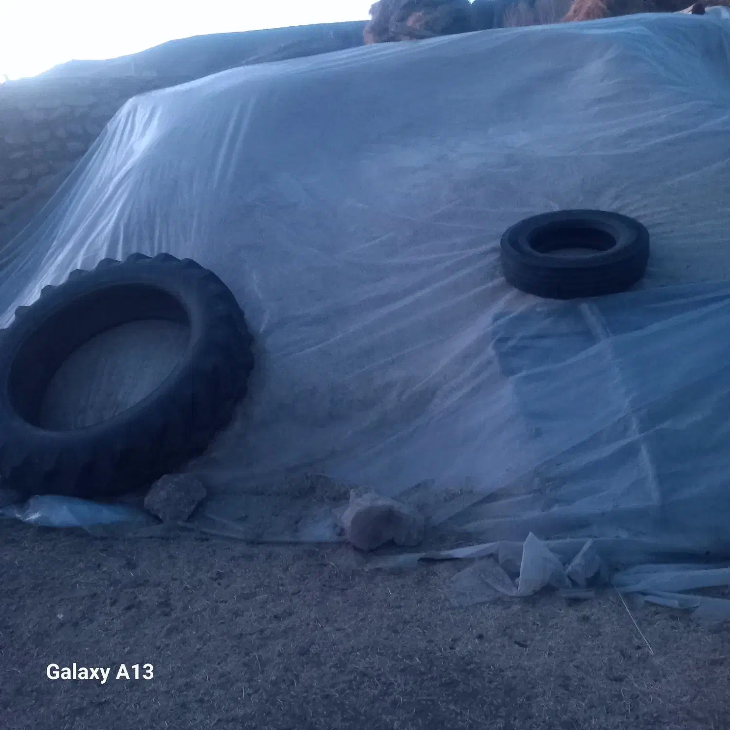 کاه گندم خرمنکوب|عمده‌فروشی|تیکمه داش, |دیوار