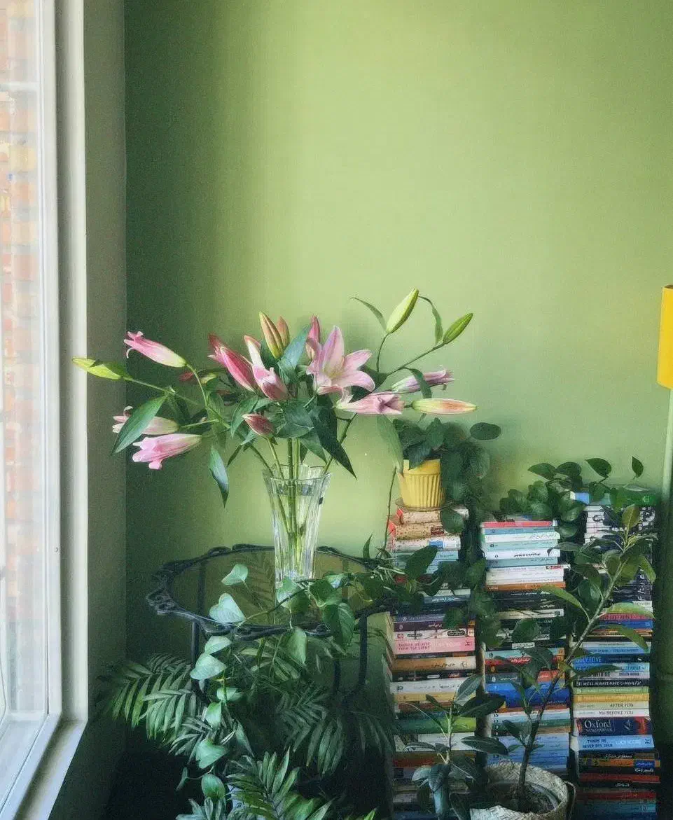 دانشجو|فعالیت داوطلبانه|تهران, مینابی|دیوار