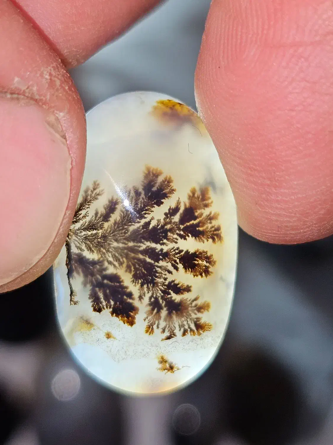 مقداری راف و نگین شجر|جواهرات|کرمان, |دیوار