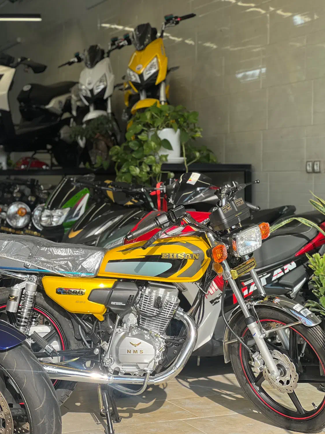 فروش ویژه موتور سیکلت دم قسط۲۴ماه|موتورسیکلت|حمیدیا, |دیوار