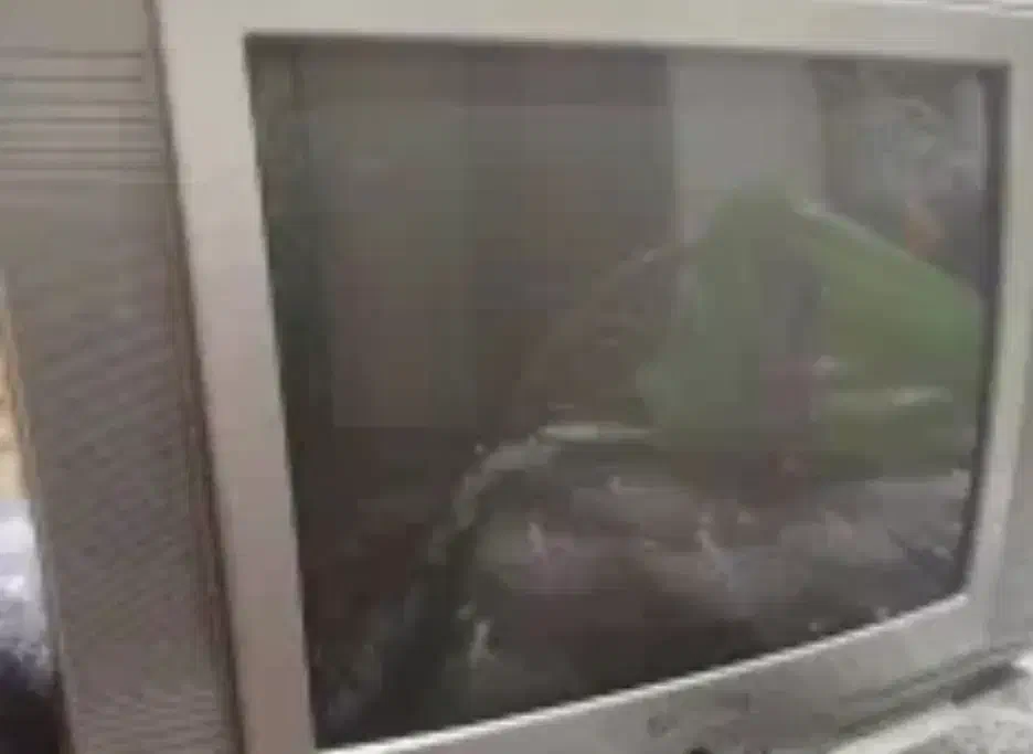 تلویزیون 21 اینچ|تلویزیون و پروژکتور|صدرا-فارس, فاز ۱|دیوار