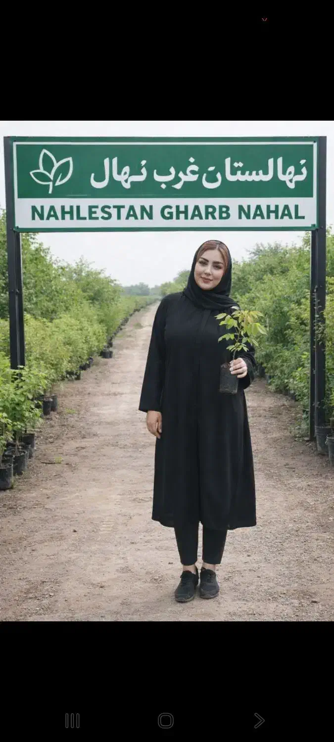 فروش نهال گلابی خرمالو پسته عناب سنجد سیب شمشاد|خدمات باغبانی و درختکاری|صفادشت, |دیوار