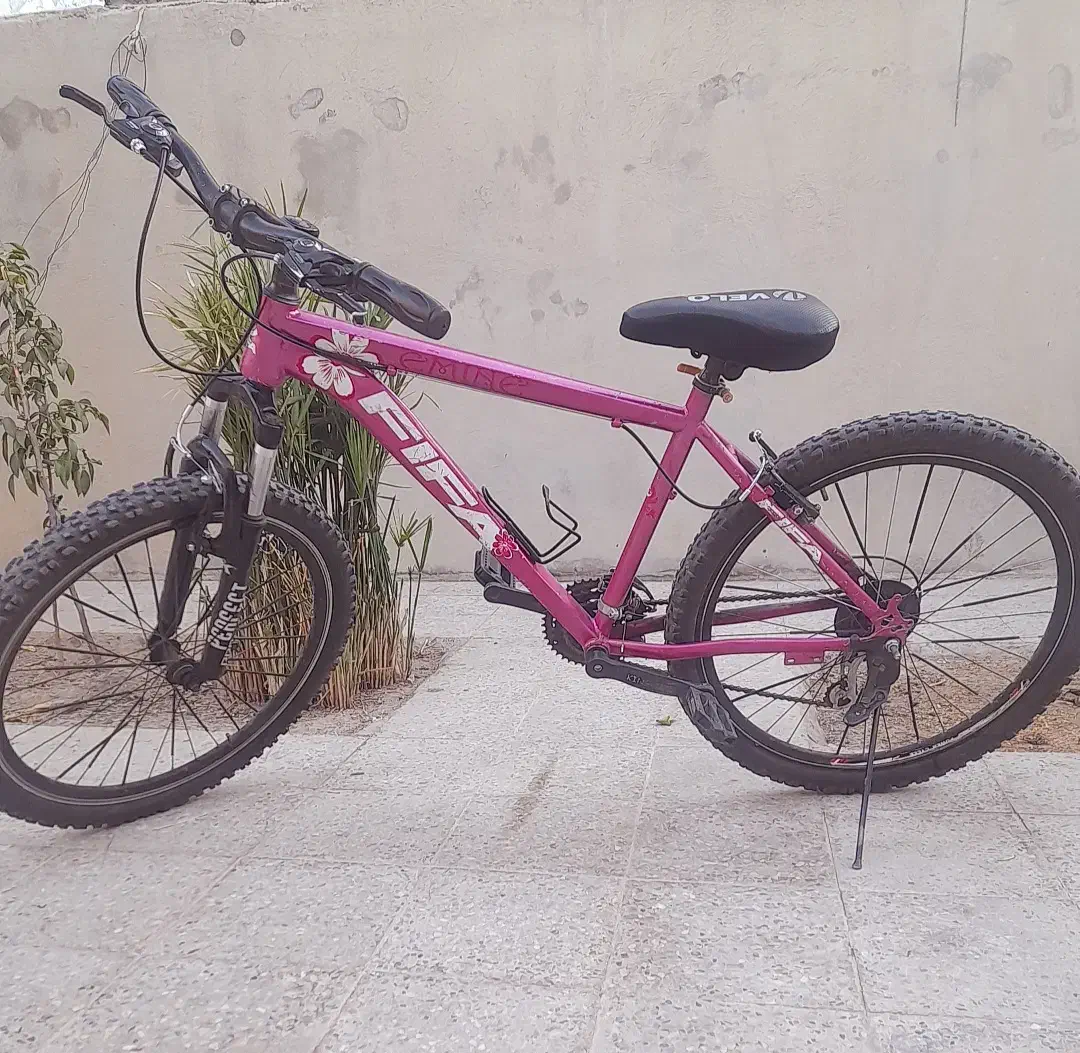 دوچرخه تنه بلند FIFA سایز ۲۶ هفت دنده ای|دوچرخه، اسکیت، اسکوتر|دوگنبدان, |دیوار