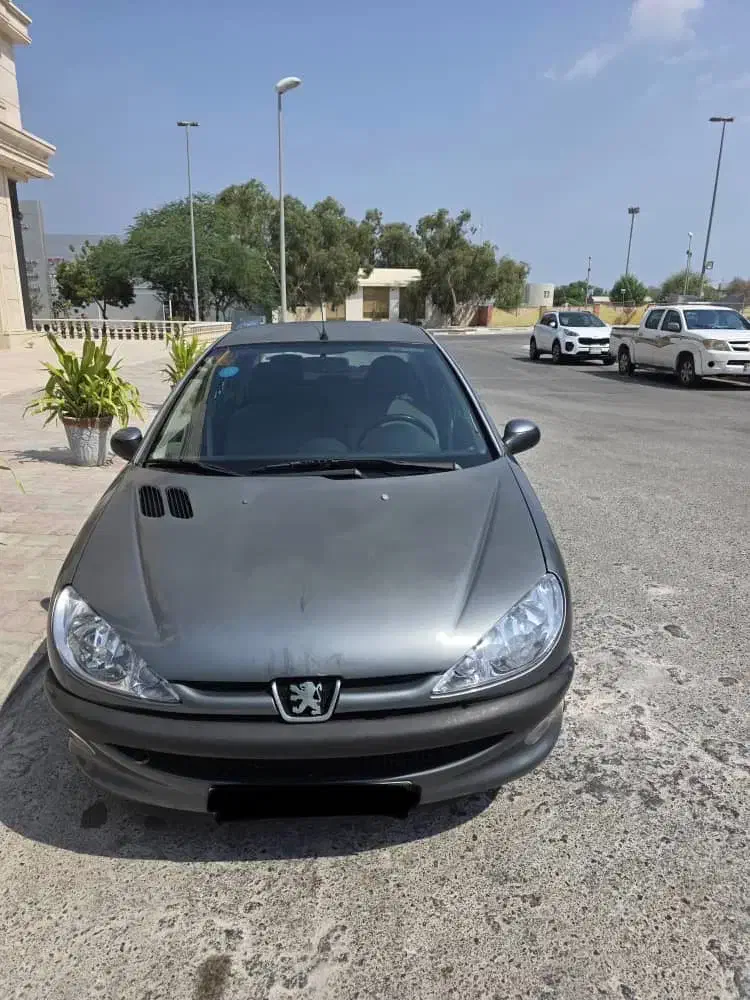 206 SD 1389|خودرو سواری و وانت|کیش, |دیوار