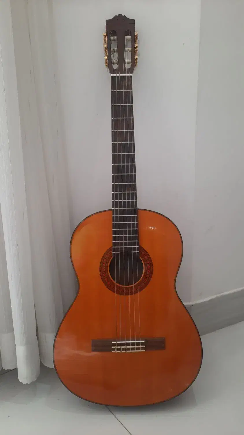 گیتار یاماها اصل|گیتار، بیس، امپلیفایر|فیروزآباد (فارس), |دیوار