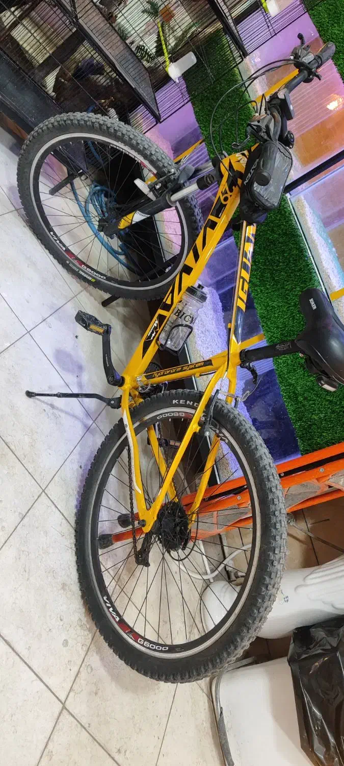 دوچرخه ویوا تنه ۲۹|دوچرخه، اسکیت، اسکوتر|بجستان, |دیوار