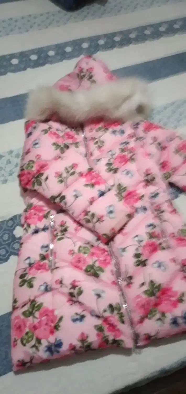 تعدادی لباس بچگانه دخترانه|کفش و لباس بچه|میاندوآب, |دیوار