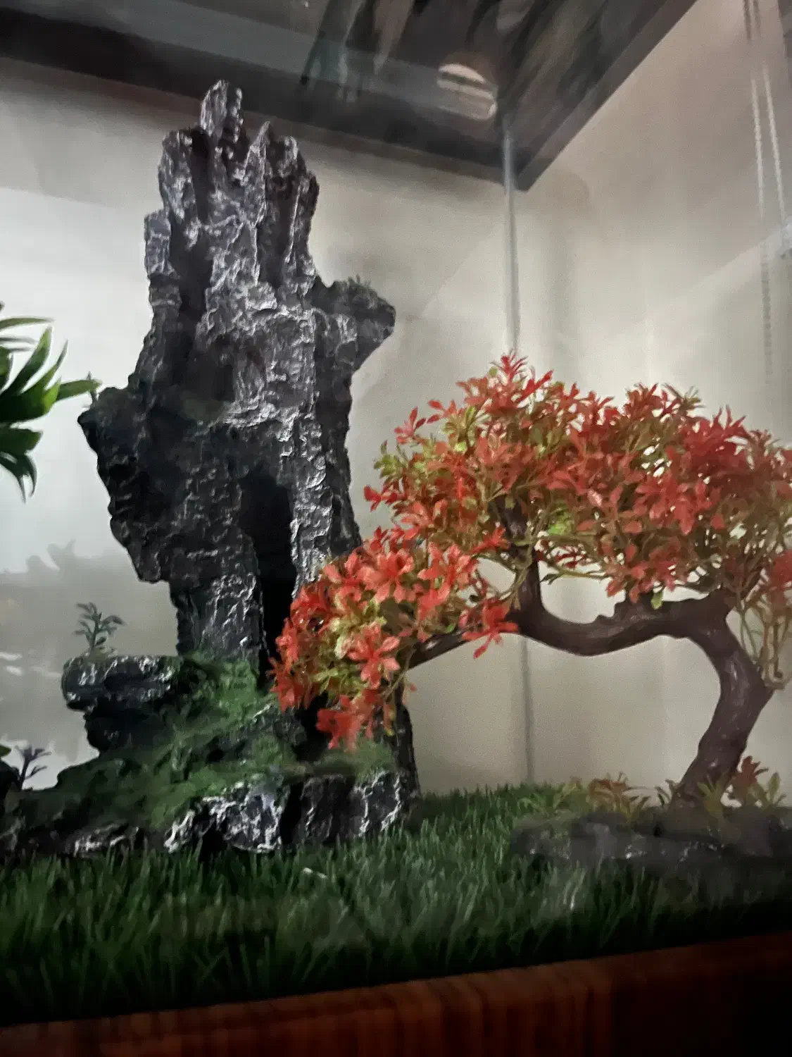 فروش آکواریوم چوبی کاملا نو با وسایل داخلش|ماهی|تهران, قصر فیروزه ۲|دیوار