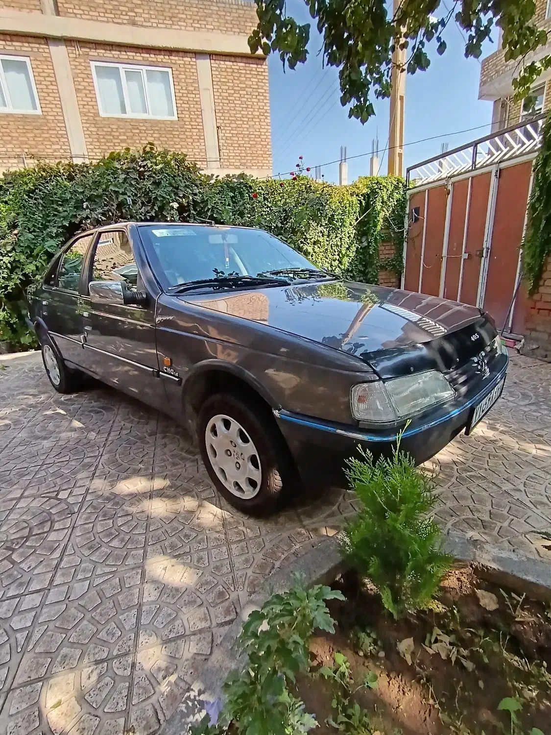 سواری روآ|خودرو سواری و وانت|اشنویه, |دیوار