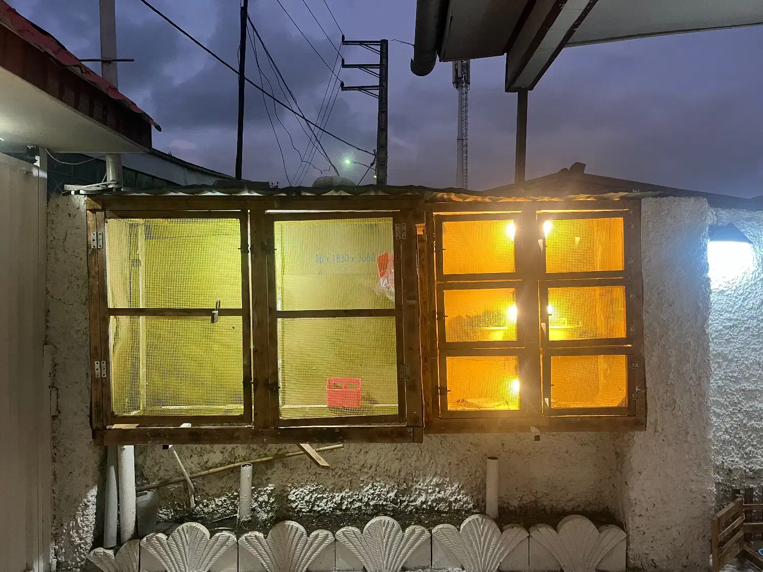 کبوتر لانه|لوازم جانبی حیوانات|خرمآباد (تنکابن), |دیوار