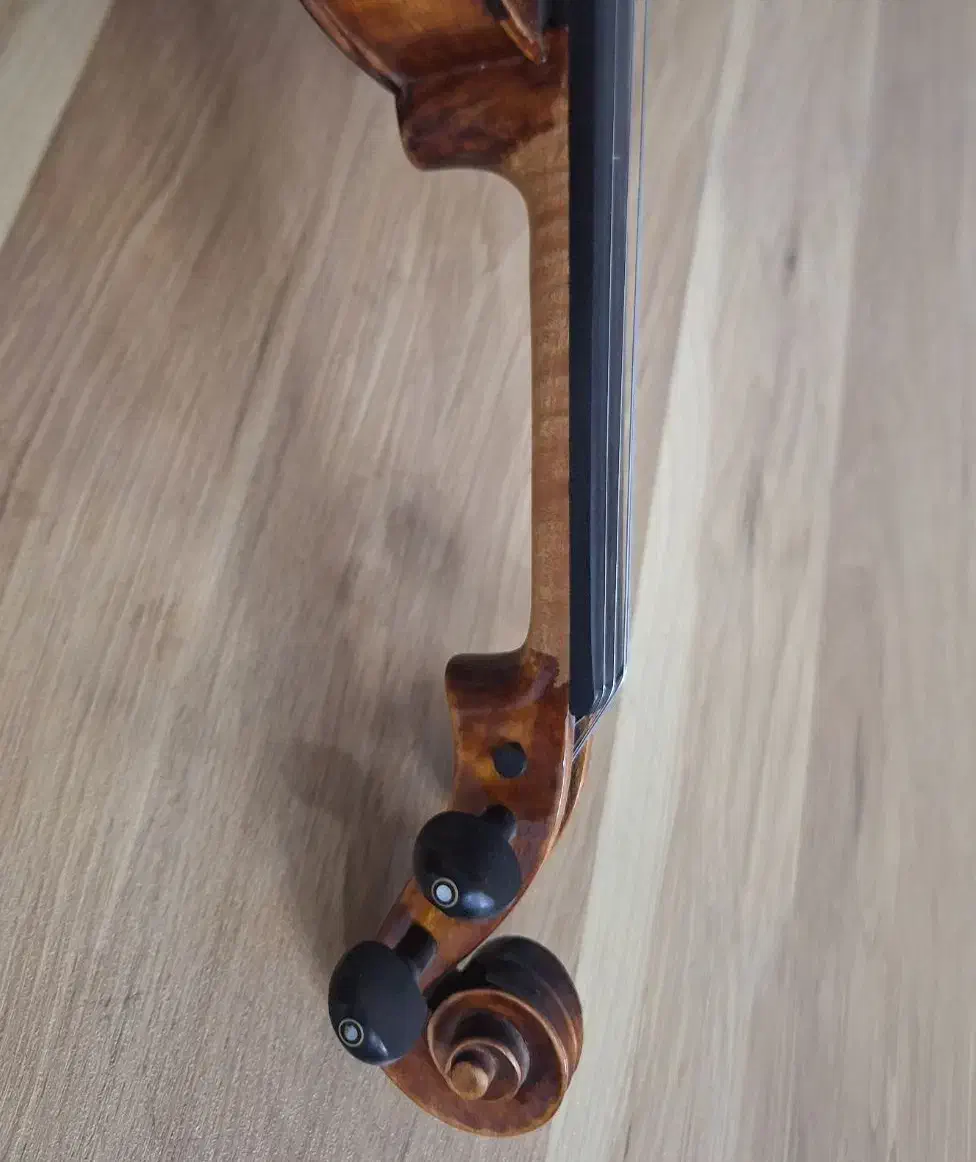 ویولن ویلن ویولون|ویولن|شیراز, شریفآباد|دیوار