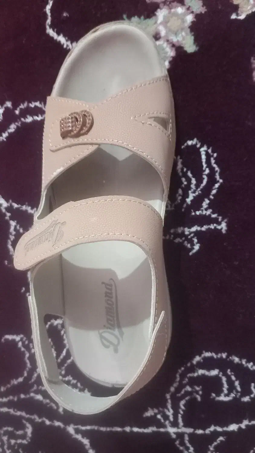 کفش|کیف، کفش، کمربند|سوسنگرد, |دیوار