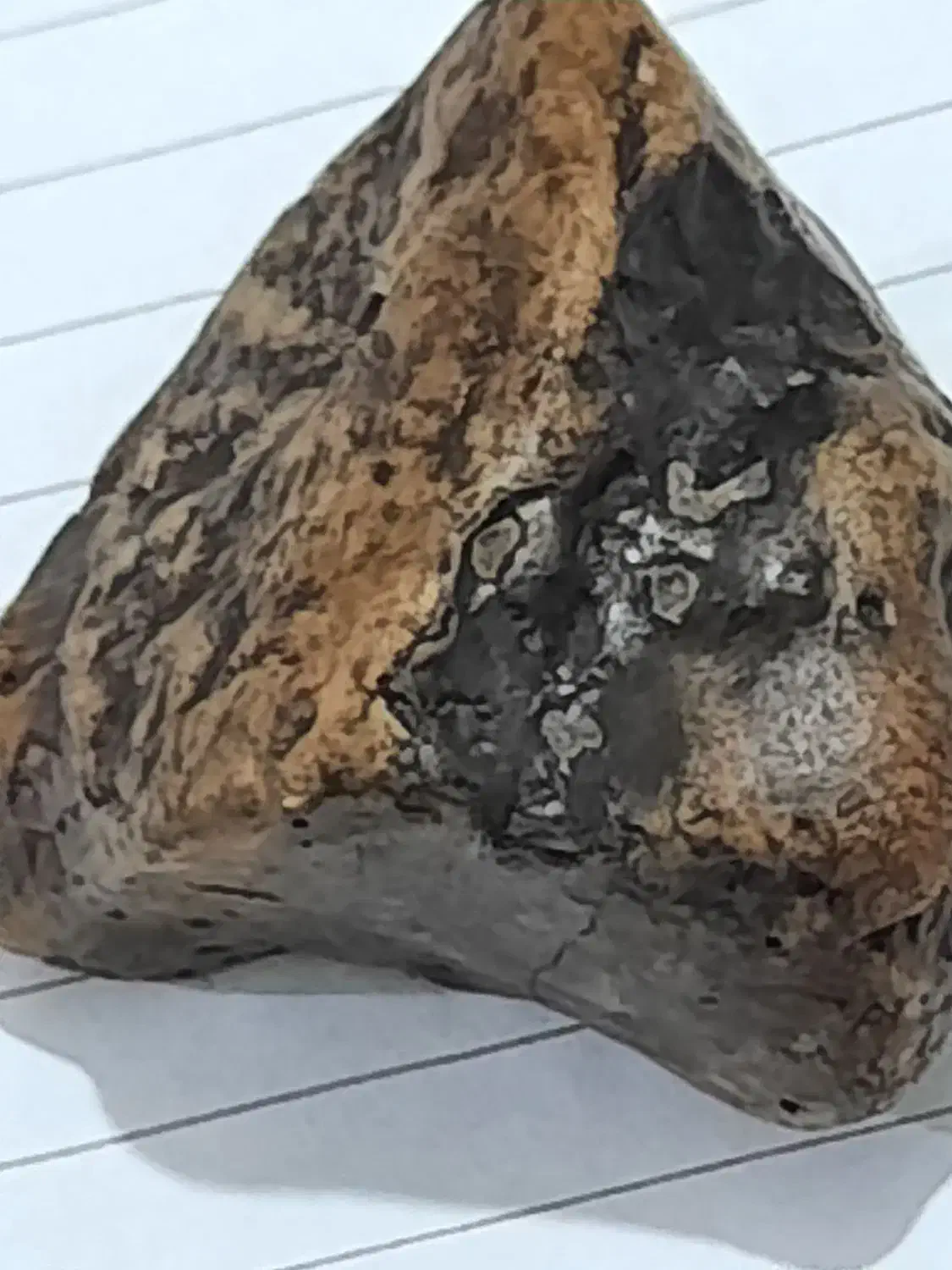 شهاب سنگ|کلکسیون اشیاء عتیقه|مشهد, عبادی|دیوار