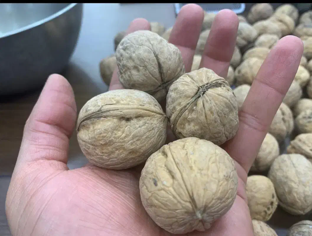 فروش گردو و بادام و مغز فندوق سفید|خوردنی و آشامیدنی|رفسنجان, |دیوار