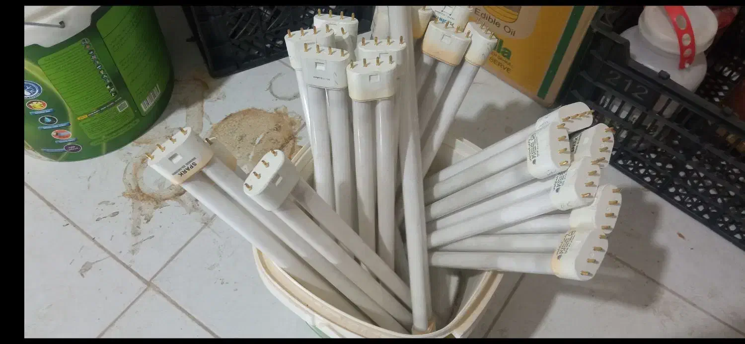 لامپ مهتابی|لامپ و چراغ|بجنورد, |دیوار