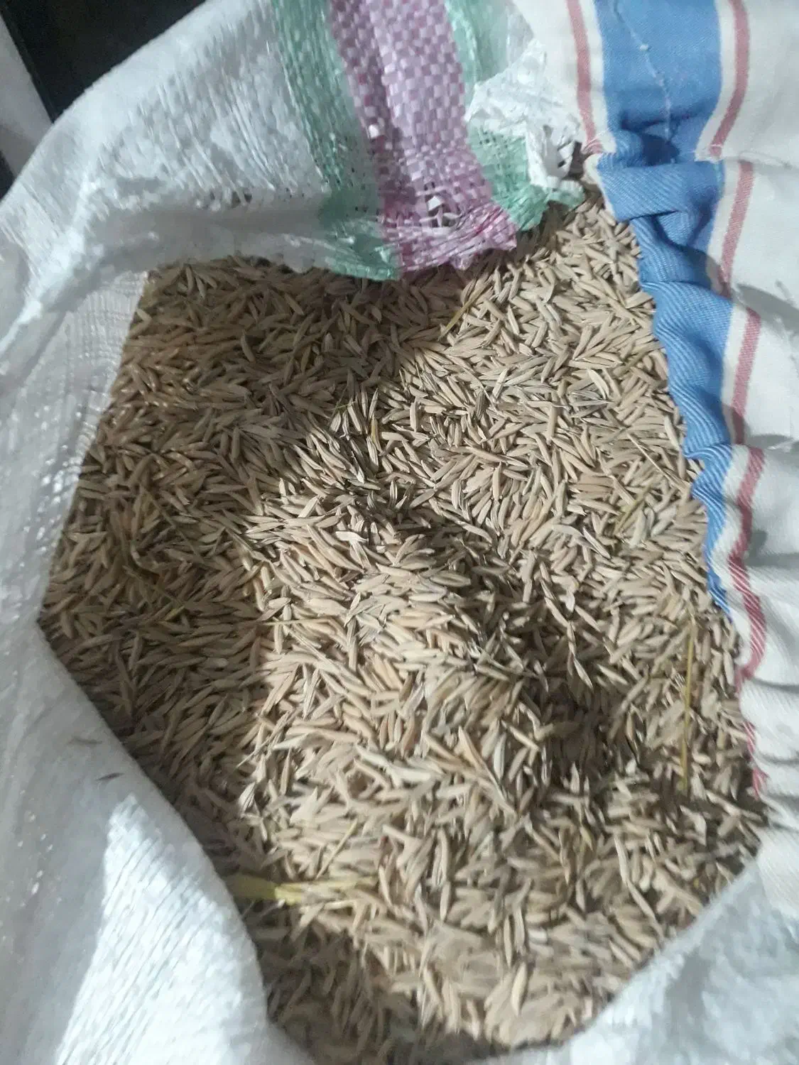 شالی فجر سوزنی|خوردنی و آشامیدنی|تاتار علیا, |دیوار