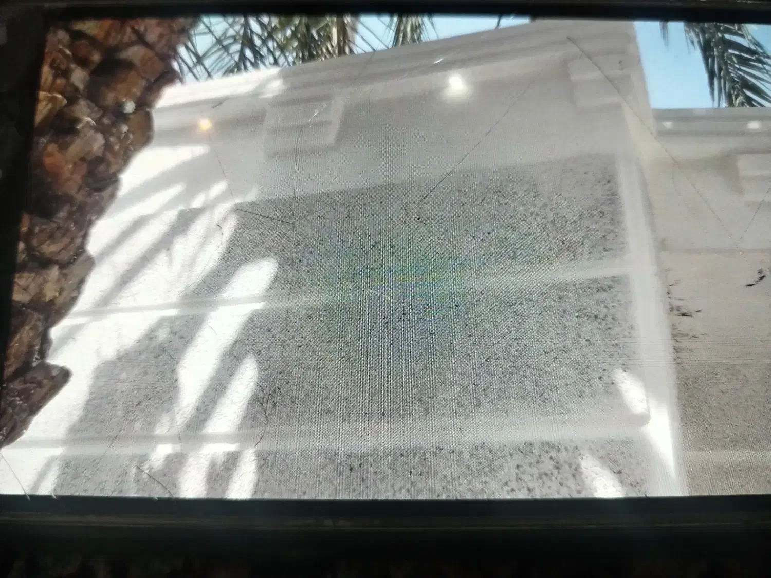 نما شسته رومی کلاسیک|خدمات پیشه و مهارت|بم, |دیوار