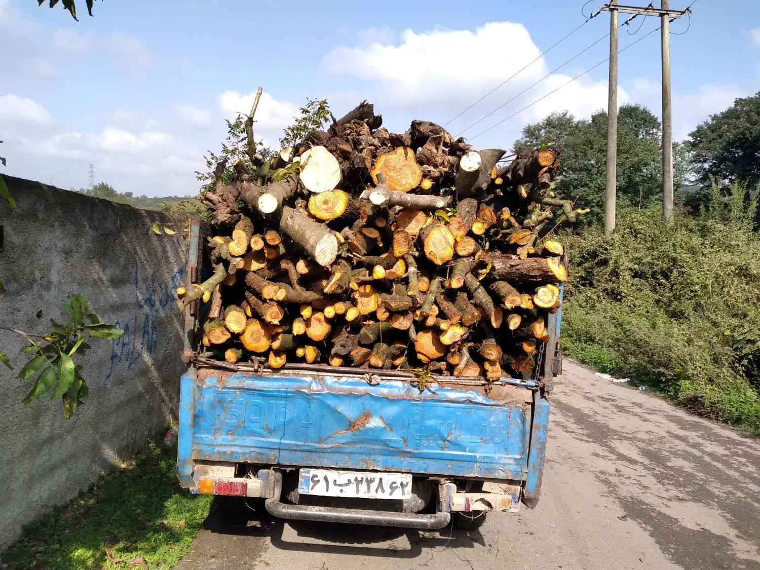 خریدانواع چوب های باغی و جنگلی|خدمات باغبانی و درختکاری|ساری, |دیوار