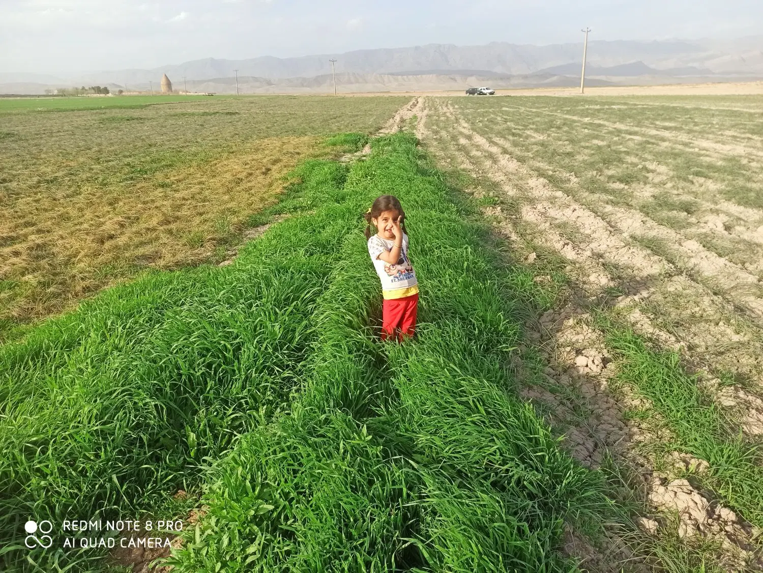2000زمین فروشی|فروش زمین و ملک کلنگی|رادکان, |دیوار